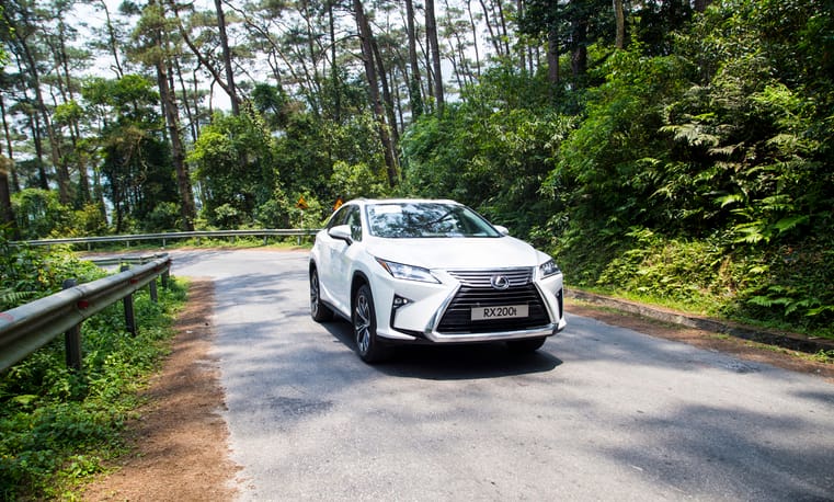 The 2024 Lexus RX: Carving a New Path in the Luxury SUV Landscape