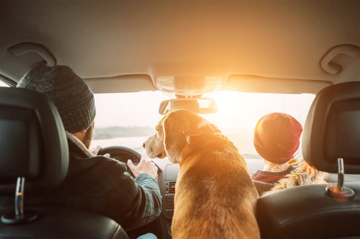 Top Cars for Families with Pets: Hitting the Road with Your Furry Companions
